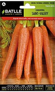 Accesorios de zanahorias carrots